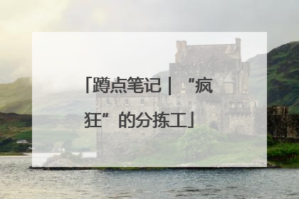 蹲点笔记｜“疯狂”的分拣工