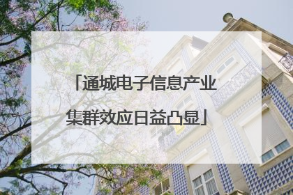 通城电子信息产业集群效应日益凸显