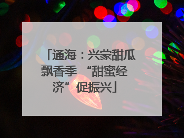 通海：兴蒙甜瓜飘香季 “甜蜜经济”促振兴