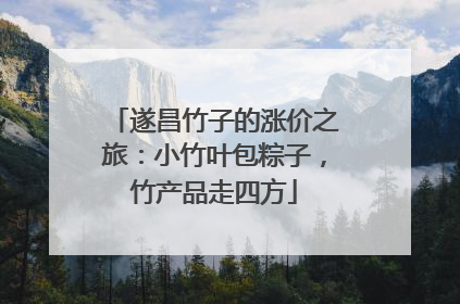 遂昌竹子的涨价之旅：小竹叶包粽子，竹产品走四方