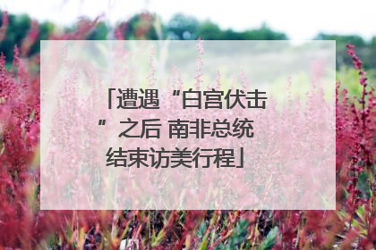 遭遇“白宫伏击”之后 南非总统结束访美行程