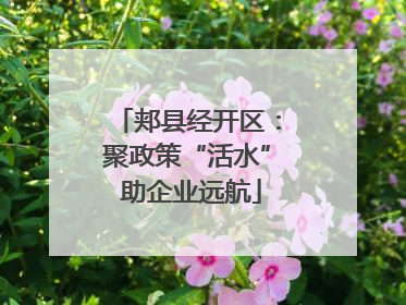 郏县经开区：聚政策“活水” 助企业远航
