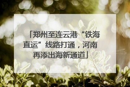郑州至连云港“铁海直运”线路打通，河南再添出海新通道