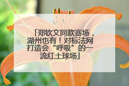 郑钦文同款赛场，湖州也有！对标法网打造会“呼吸”的一流红土球场