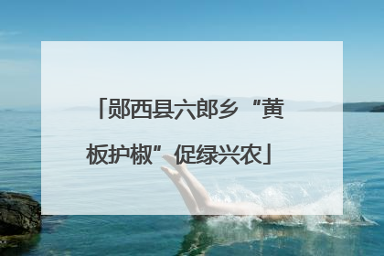 郧西县六郎乡“黄板护椒”促绿兴农