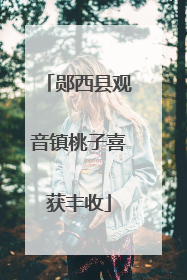 郧西县观音镇桃子喜获丰收