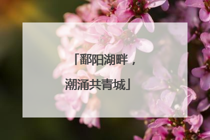 鄱阳湖畔，潮涌共青城
