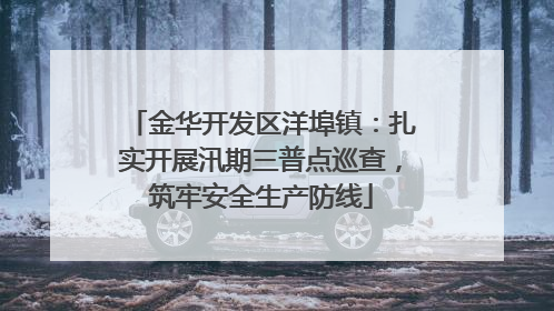 金华开发区洋埠镇：扎实开展汛期三普点巡查，筑牢安全生产防线