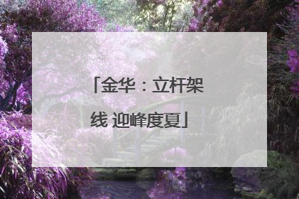 金华：立杆架线 迎峰度夏