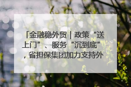 金融稳外贸｜政策“送上门”、服务“沉到底”，省担保集团加力支持外经贸高质量发展