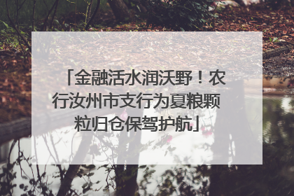 金融活水润沃野！农行汝州市支行为夏粮颗粒归仓保驾护航