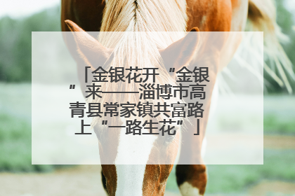 金银花开“金银”来——淄博市高青县常家镇共富路上“一路生花”
