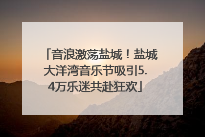 音浪激荡盐城！盐城大洋湾音乐节吸引5.4万乐迷共赴狂欢