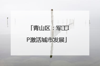 青山区：军工IP激活城市发展