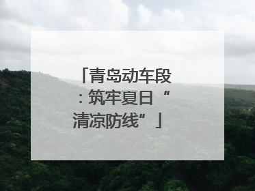 青岛动车段：筑牢夏日“清凉防线”