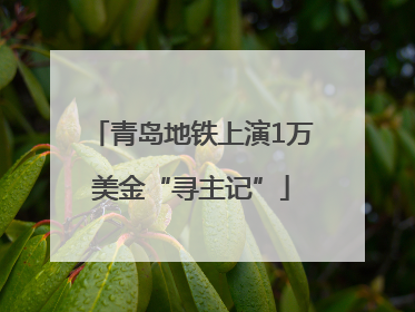 青岛地铁上演1万美金“寻主记”