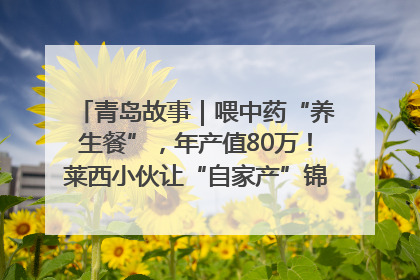 青岛故事｜喂中药“养生餐”，年产值80万！莱西小伙让“自家产”锦鲤“游”向全国