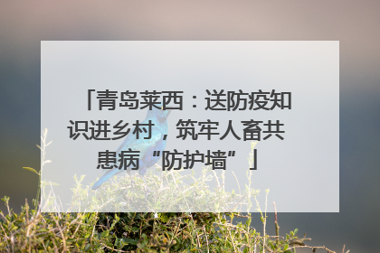 青岛莱西：送防疫知识进乡村，筑牢人畜共患病“防护墙”