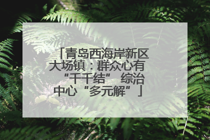 青岛西海岸新区大场镇：群众心有“千千结” 综治中心“多元解”