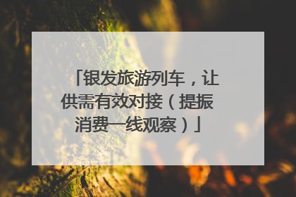 银发旅游列车，让供需有效对接（提振消费一线观察）
