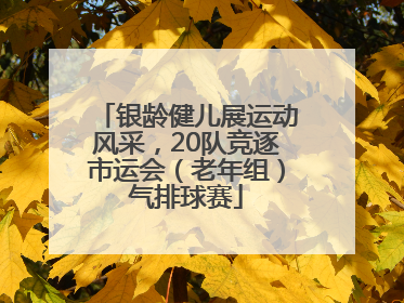 银龄健儿展运动风采，20队竞逐市运会（老年组）气排球赛