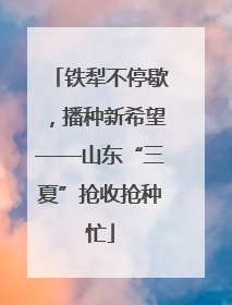 铁犁不停歇，播种新希望——山东“三夏”抢收抢种忙