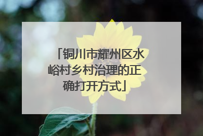 铜川市耀州区水峪村乡村治理的正确打开方式