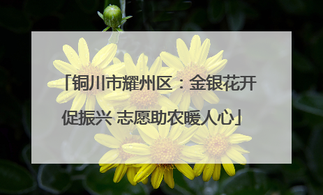 铜川市耀州区：金银花开促振兴 志愿助农暖人心