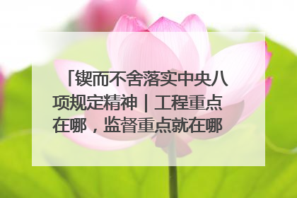 锲而不舍落实中央八项规定精神｜工程重点在哪，监督重点就在哪——广西深化政治监督护航平陆运河建设