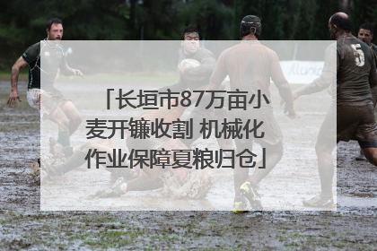 长垣市87万亩小麦开镰收割 机械化作业保障夏粮归仓