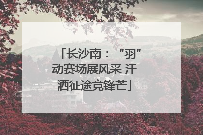 长沙南：“羽”动赛场展风采 汗洒征途竞锋芒
