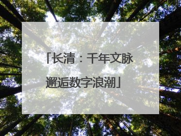 长清：千年文脉邂逅数字浪潮