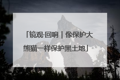 镜观·回响｜像保护大熊猫一样保护黑土地