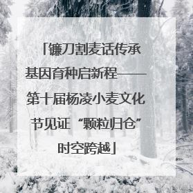 镰刀割麦话传承 基因育种启新程——第十届杨凌小麦文化节见证“颗粒归仓”时空跨越