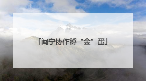 闽宁协作孵“金”蛋