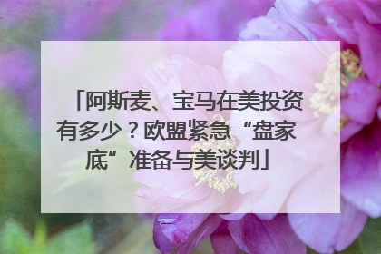阿斯麦、宝马在美投资有多少？欧盟紧急“盘家底”准备与美谈判