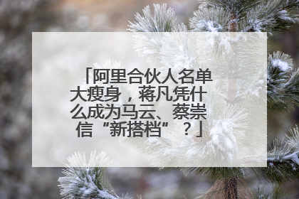 阿里合伙人名单大瘦身，蒋凡凭什么成为马云、蔡崇信“新搭档”？