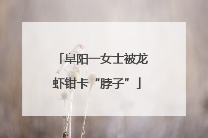 阜阳一女士被龙虾钳卡“脖子”