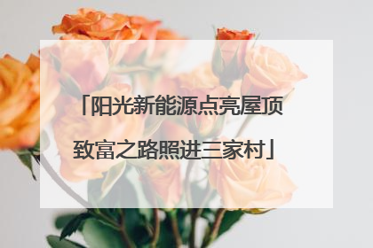 阳光新能源点亮屋顶 致富之路照进三家村
