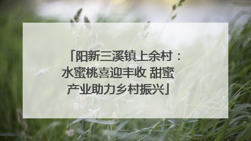 阳新三溪镇上余村：水蜜桃喜迎丰收 甜蜜产业助力乡村振兴