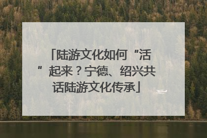 陆游文化如何“活 ”起来？宁德、绍兴共话陆游文化传承