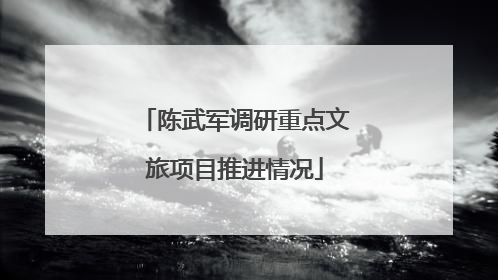 陈武军调研重点文旅项目推进情况