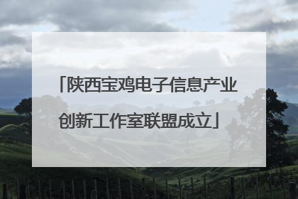 陕西宝鸡电子信息产业创新工作室联盟成立