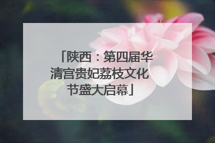 陕西：第四届华清宫贵妃荔枝文化节盛大启幕