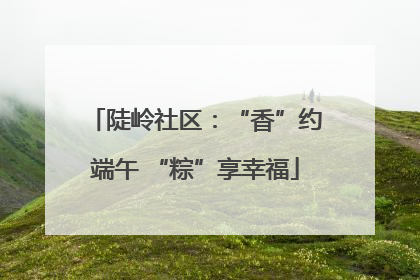 陡岭社区：“香”约端午 “粽”享幸福