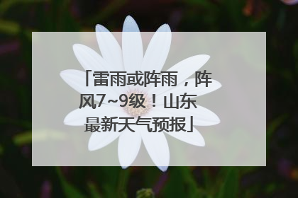 雷雨或阵雨，阵风7~9级！山东最新天气预报