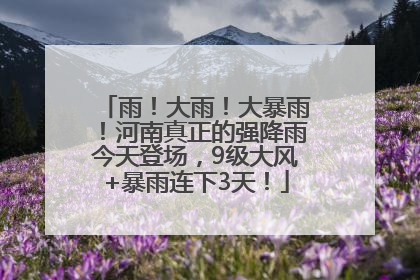 雨！大雨！大暴雨！河南真正的强降雨今天登场，9级大风+暴雨连下3天！