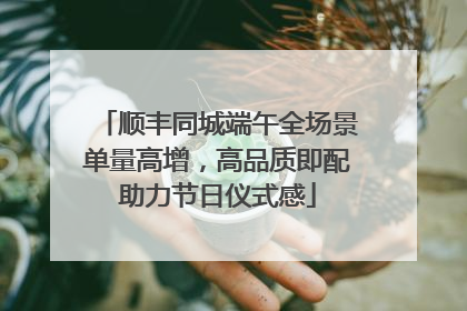 顺丰同城端午全场景单量高增，高品质即配助力节日仪式感