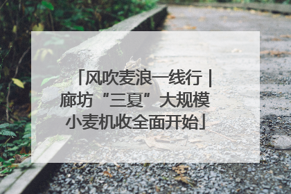 风吹麦浪一线行｜廊坊“三夏”大规模小麦机收全面开始