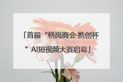 首届“横岗商会·携创杯”AI短视频大赛启幕